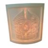 Marine Corps flag night light cover active duty veteran unique gift mom dad son daughter marine - Image 4